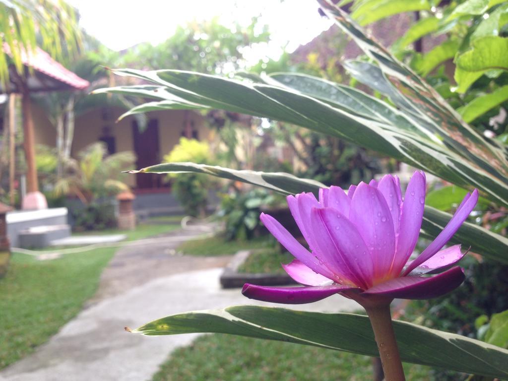 Dimuwa Ubud 객실 사진