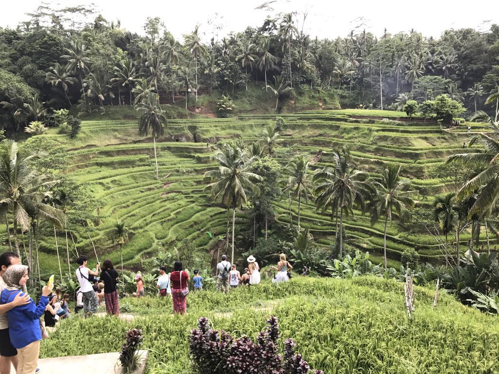 Dimuwa Ubud 외부 사진